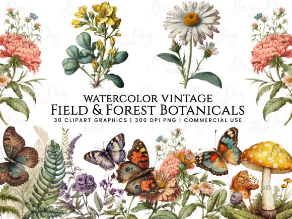 Download Field &amp; Forest Vintage Botanical Clipart - Art Collection
